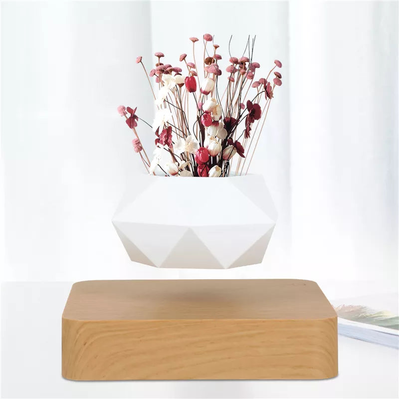 Floating Plant Pot | Levitating Flower Pot | Elda Aesthetic